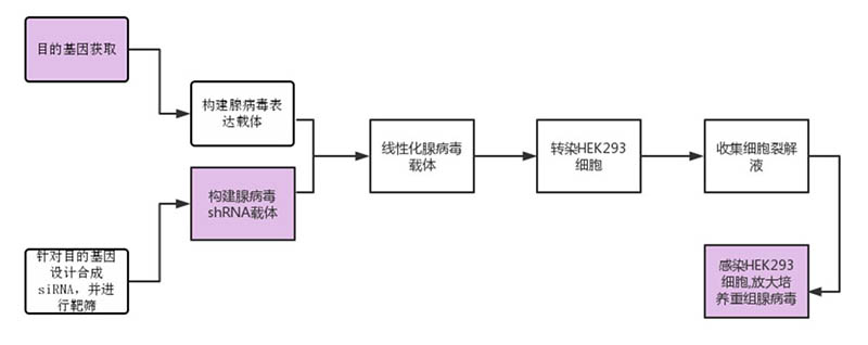 圖片1.jpg